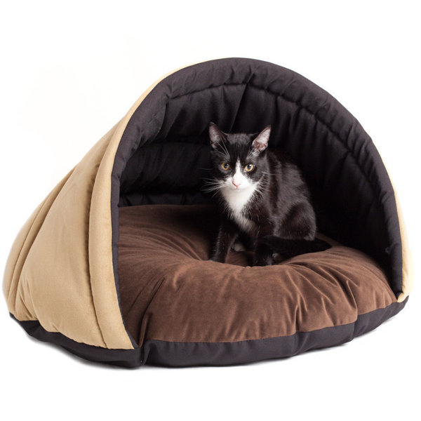 Tucker Murphy Pet Finley Cozy Pet Bed & Reviews Wayfair